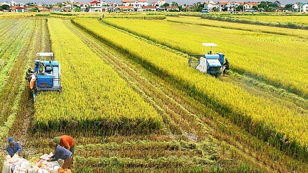 Bộ Tài chính ban hành 3 thông tư về giảm phí cho nhiều dịch vụ để hỗ trợ các đối tượng ảnh hưởng bởi dịch Covid-19